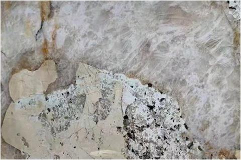 Patagonia white granite