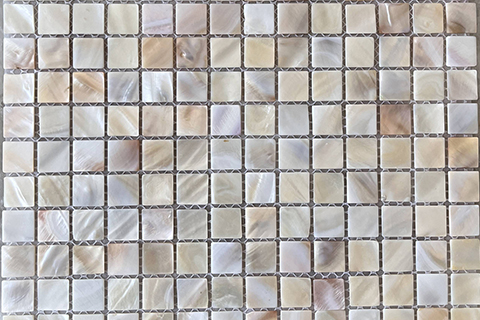 Back Mesh Waterproof Pearl Shell Mosaics Tile