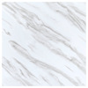 sample-image