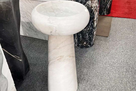 广西白.jpg