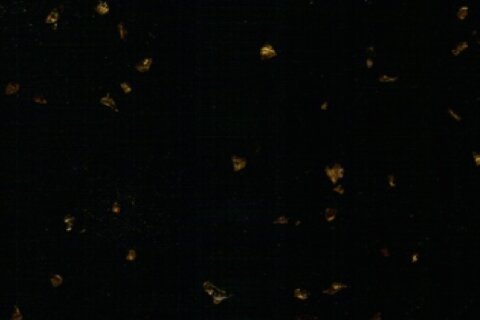 Black Galaxy Artificial Marble