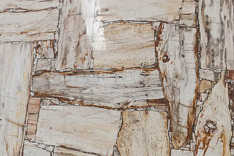Petrified wood brown fossil stone slab