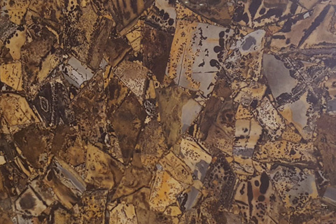 Grass fossil semiprecious slab