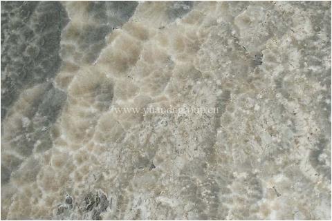 Cappuccino grey onyx slab